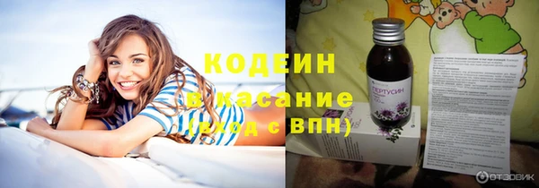 гашик Костерёво