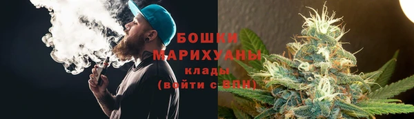 гашик Костерёво