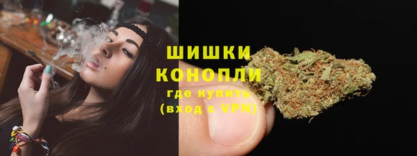 ALPHA PVP Коряжма