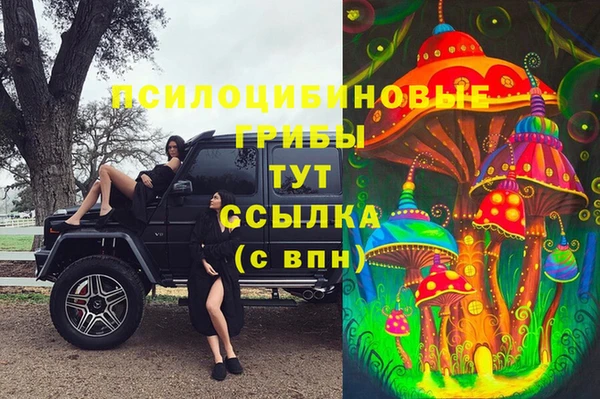 гашик Костерёво
