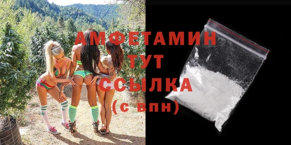 гашик Костерёво