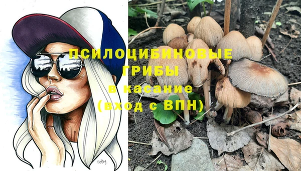 гашик Киреевск